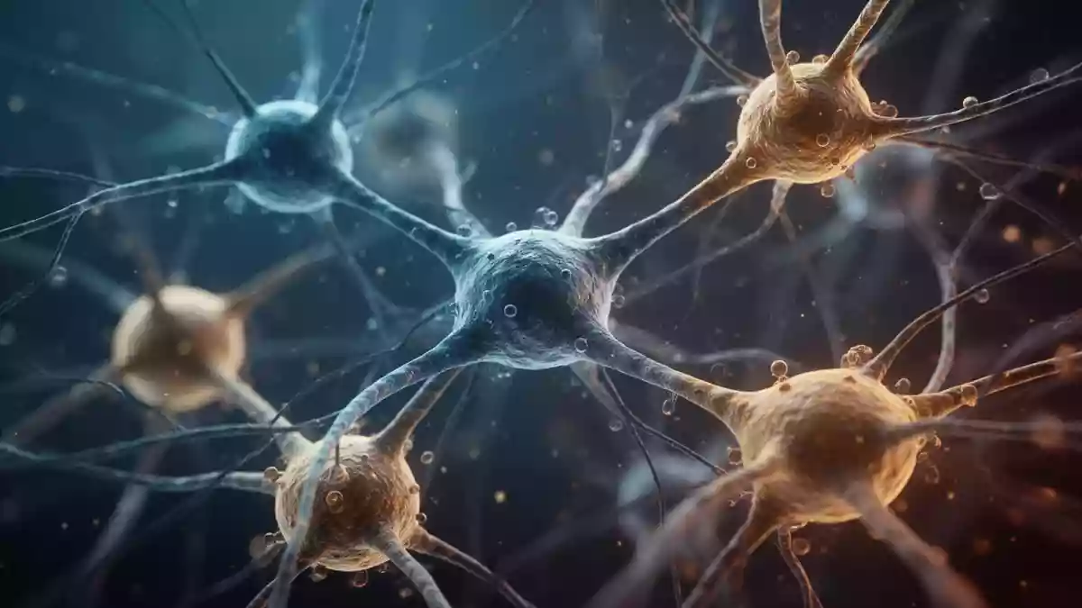 Entzündungen und Psyche: Studien zeigen Verbindungen zu Gehirn und Darm
