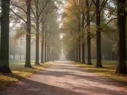 Ein sonniger, leerer Parkweg im Herbst, der zu Spaziergängen und Bewegung im Freien einlädt. - Foto: über boerse-global.de