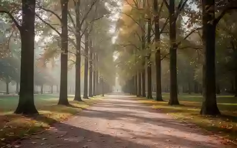 Ein sonniger, leerer Parkweg im Herbst, der zu Spaziergängen und Bewegung im Freien einlädt. - Foto: über boerse-global.de