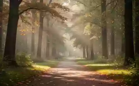 Ein sonnendurchfluteter Waldweg in einer friedlichen Parklandschaft am Morgen. - Foto: über boerse-global.de