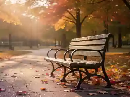 Eine leere Parkbank in einem herbstlichen Park, umgeben von buntem Laub im warmen Licht der Abendsonne. - Foto: über boerse-global.de