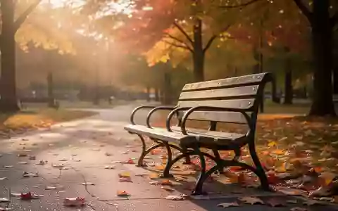 Eine leere Parkbank in einem herbstlichen Park, umgeben von buntem Laub im warmen Licht der Abendsonne. - Foto: über boerse-global.de