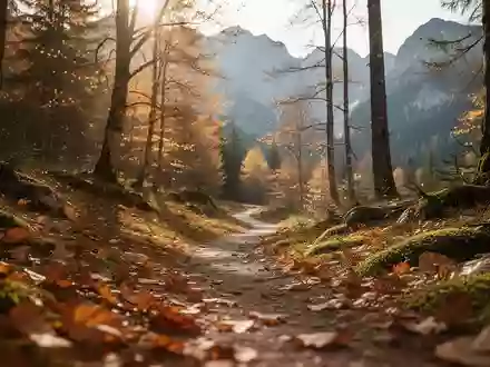 Ein von herbstlichem Laub bedeckter Waldweg in den Salzburger Bergen bei sanftem Morgenlicht. - Foto: über boerse-global.de