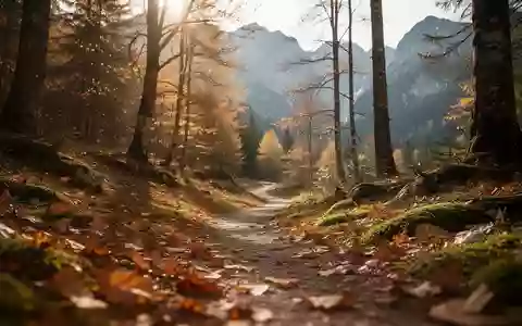 Ein von herbstlichem Laub bedeckter Waldweg in den Salzburger Bergen bei sanftem Morgenlicht. - Foto: über boerse-global.de