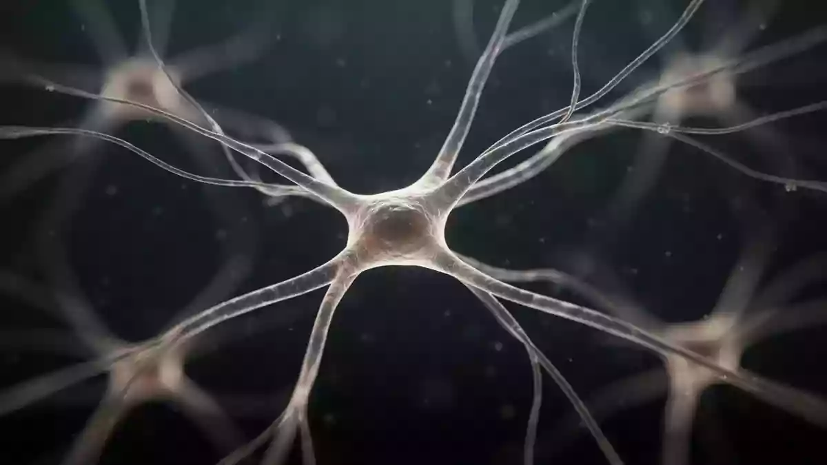 Stanford-Studie: Östrogentherapie mit geringerem Alzheimer-Risiko verbunden