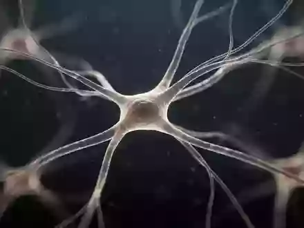 Abstrakte, mikroskopische Darstellung neuronaler Strukturen in sanftem Licht als Symbol für neurologische Forschung. - Foto: über boerse-global.de