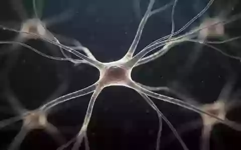 Abstrakte, mikroskopische Darstellung neuronaler Strukturen in sanftem Licht als Symbol für neurologische Forschung. - Foto: über boerse-global.de