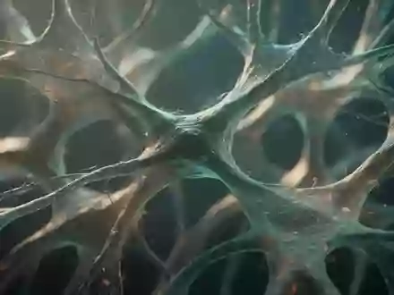 Mikroskopische Ansicht eines komplexen biologischen Netzwerks, das neuronale oder mikrobielle Strukturen symbolisiert. - Foto: über boerse-global.de