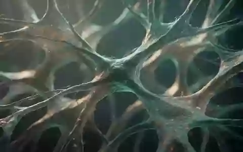 Mikroskopische Ansicht eines komplexen biologischen Netzwerks, das neuronale oder mikrobielle Strukturen symbolisiert. - Foto: über boerse-global.de