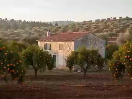 Restauriertes historisches Bauernhaus inmitten einer weitläufigen Orangenplantage in der portugiesischen Landschaft. - Foto: über boerse-global.de