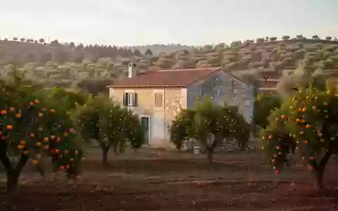 Restauriertes historisches Bauernhaus inmitten einer weitläufigen Orangenplantage in der portugiesischen Landschaft. - Foto: über boerse-global.de