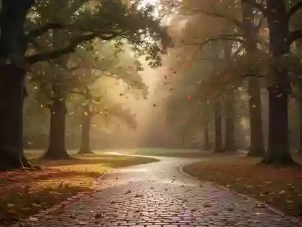 Ein ruhiger, herbstlicher Parkweg, der in eine sonnendurchflutete Lichtung führt und eine Atmosphäre der Besinnlichkeit erzeugt. - Foto: über boerse-global.de