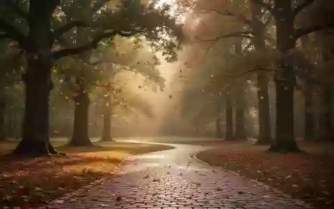 Ein ruhiger, herbstlicher Parkweg, der in eine sonnendurchflutete Lichtung führt und eine Atmosphäre der Besinnlichkeit erzeugt. - Foto: über boerse-global.de