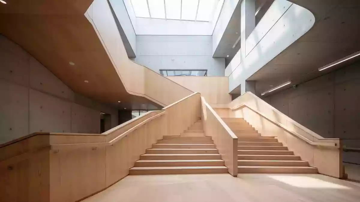 Rückenschmerzen: Wie Bewegung und Ergonomie die Wirbelsäule schützen
