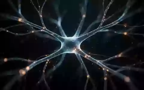Abstrakte Darstellung neuronaler Verbindungen und synaptischer Netzwerke in einem wissenschaftlichen Kontext. - Foto: über boerse-global.de