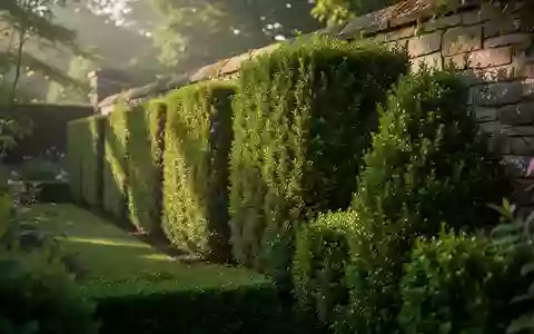 Eine gepflegte Hecke entlang einer steinernen Grundstücksgrenze bei natürlichem Morgenlicht. - Foto: über boerse-global.de