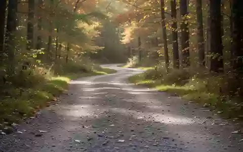 Ein gewundener Kiesweg, der sich durch einen sonnendurchfluteten Wald schlängelt und zu regelmäßiger körperlicher Aktivität einlädt. - Foto: über boerse-global.de