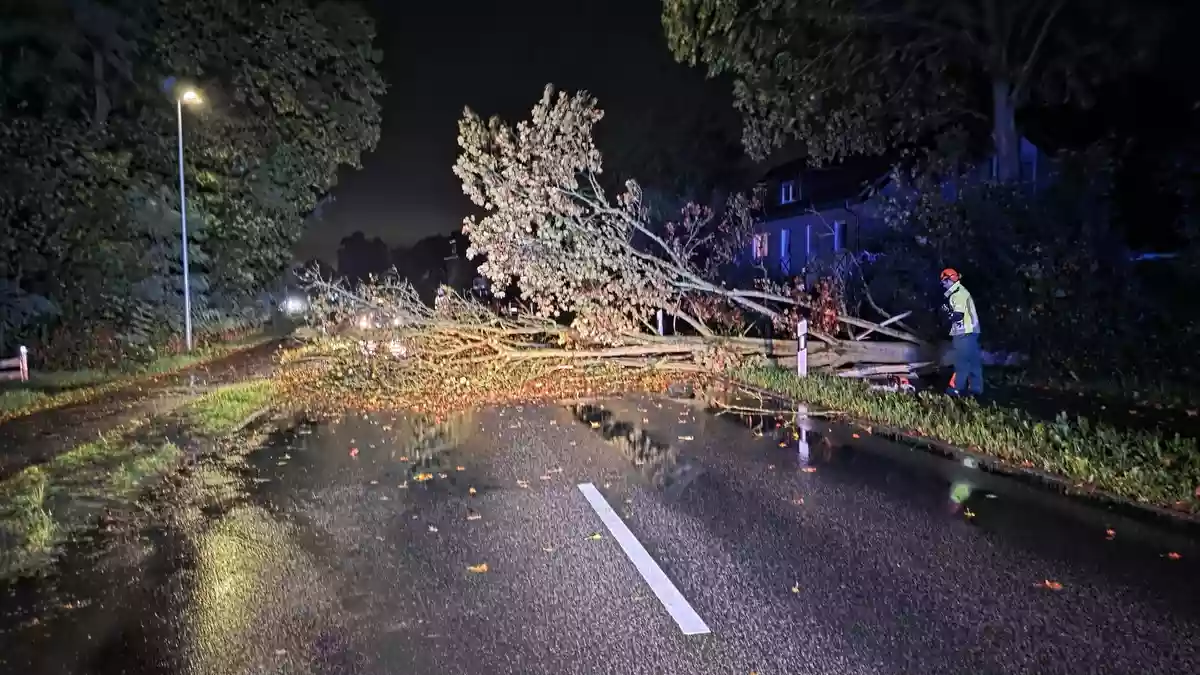 FW Hünxe: Baum blockiert Dinslakener Straße - Bild: presseportal.de