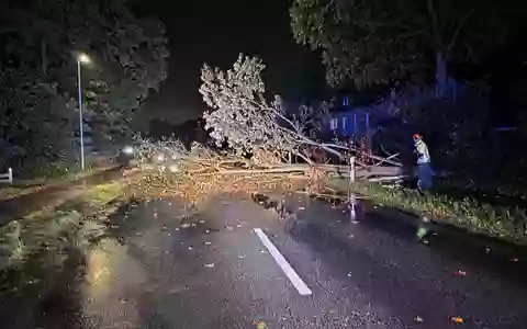 FW Hünxe: Baum blockiert Dinslakener Straße - Foto: presseportal.de