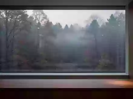 Ein minimalistischer Innenraum mit Blick auf einen nebligen Herbstwald bei kühlem Tageslicht. - Foto: über boerse-global.de