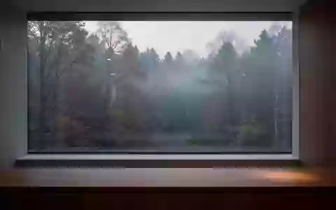 Ein minimalistischer Innenraum mit Blick auf einen nebligen Herbstwald bei kühlem Tageslicht. - Foto: über boerse-global.de