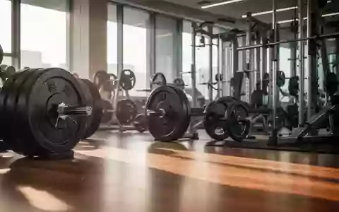 Helle, moderne Trainingsfläche mit freien Hantelscheiben und Sportgeräten in einem Fitnessstudio bei Tageslicht. - Foto: über boerse-global.de