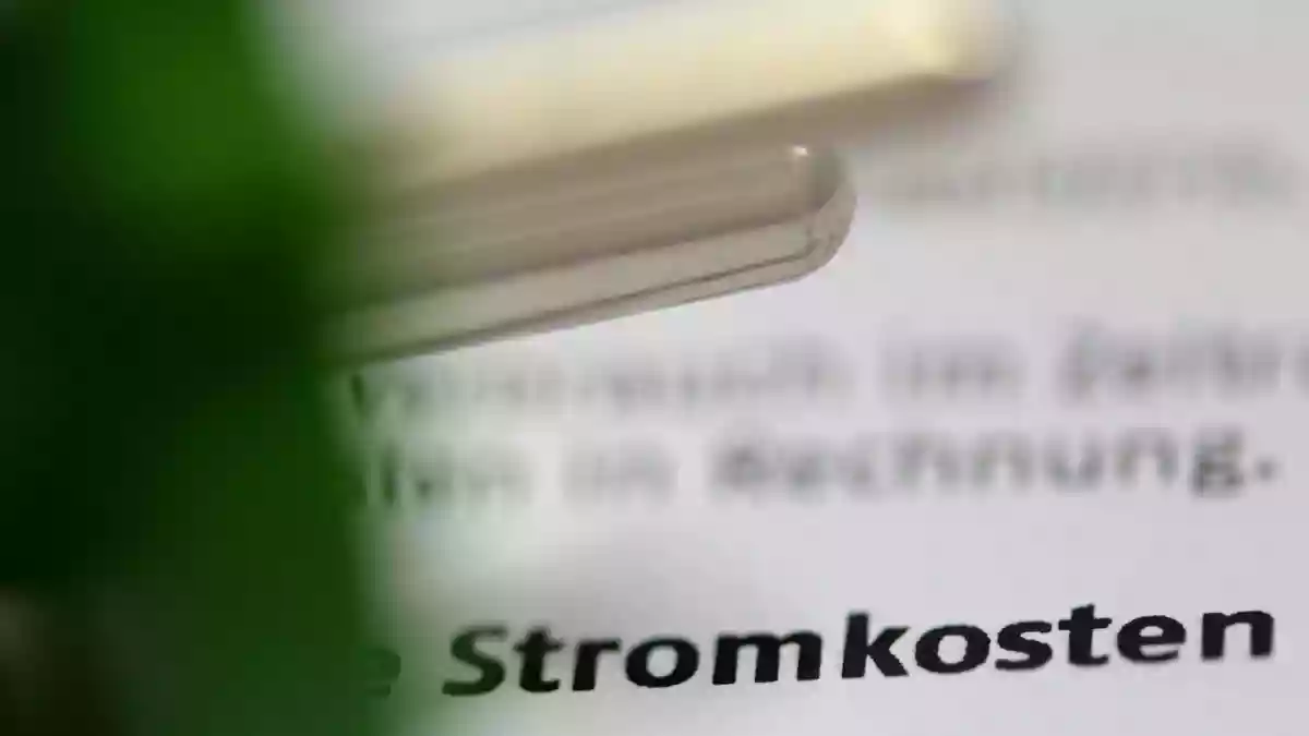 Die regionalen Unterschiede bei den Netzentgelten sind erheblich. (Symbolbild) - Bild: Jens Kalaene/dpa-Zentralbild/dpa