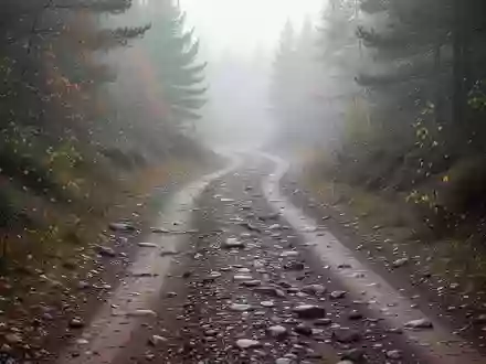 Ein unbefestigter Waldweg in einer herbstlichen Landschaft bei nebligem Wetter. - Foto: über boerse-global.de