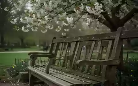 Symbolbild: Parkbank unter einem blühenden Baum - Foto: über boerse-global.de