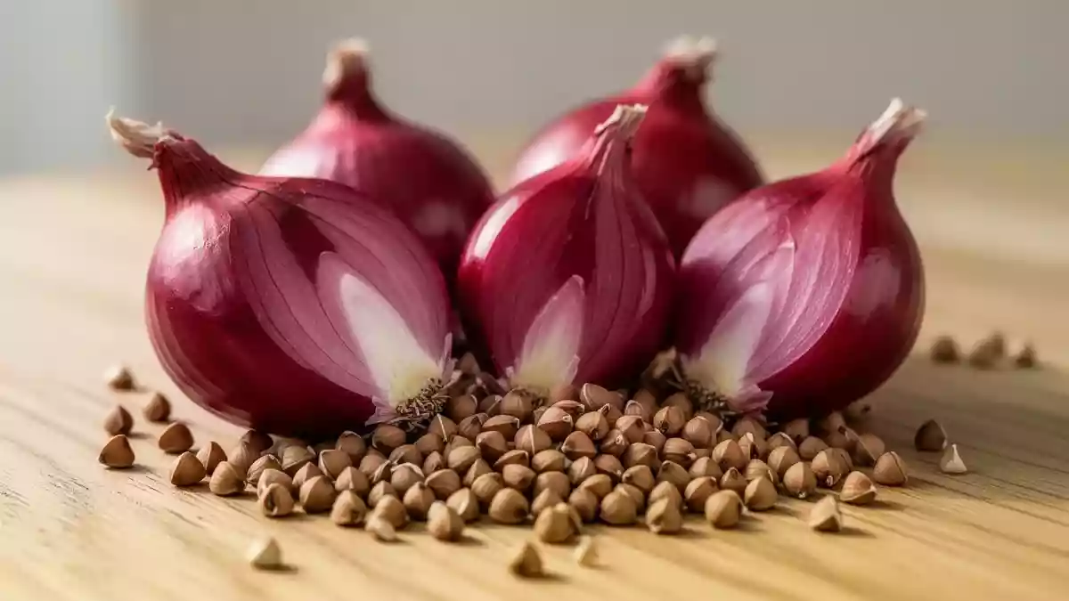 Quercetin bremst Lungenkrebszellen im Labor – Wirkung noch offen