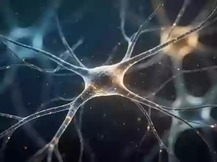 Mikroskopische Aufnahme von neuronalen Strukturen und Synapsen im Gehirngewebe mit Fokus auf zelluläre Verbindungen. - Foto: über boerse-global.de