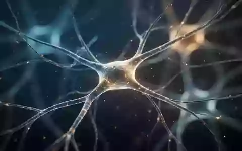 Mikroskopische Aufnahme von neuronalen Strukturen und Synapsen im Gehirngewebe mit Fokus auf zelluläre Verbindungen. - Foto: über boerse-global.de