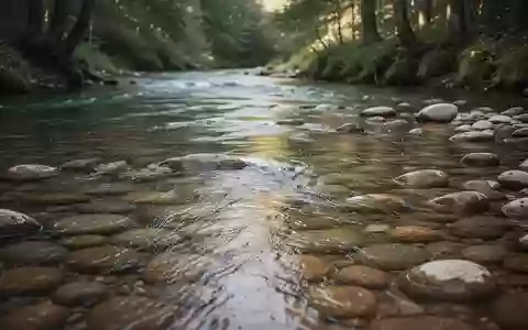 Ein ruhiger, klarer Fluss, der über glatte Steine fließt, in einer friedlichen Waldumgebung. - Foto: über boerse-global.de