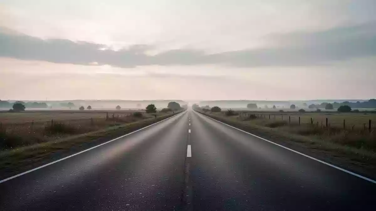Führerscheinreform 2027: Geplant sind Theorie per App und flexiblere Fahrstunden