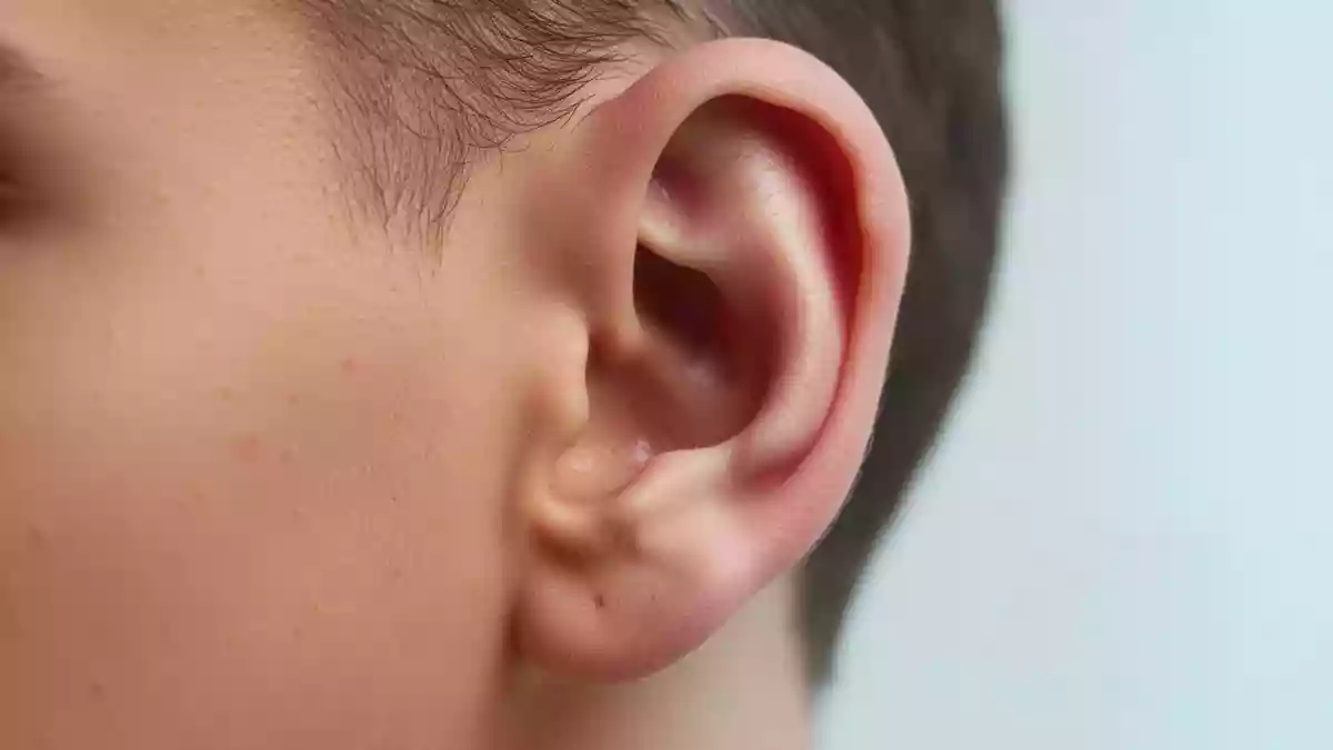 Vagusnerv-Stimulation am Ohr: Metaanalyse zeigt kognitive Effekte