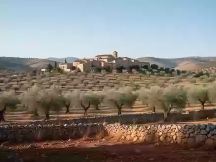 Eine sonnige andalusische Hügellandschaft mit Olivenhainen und einem kleinen Dorf im Hintergrund. - Foto: über boerse-global.de