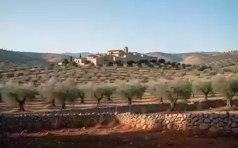 Eine sonnige andalusische Hügellandschaft mit Olivenhainen und einem kleinen Dorf im Hintergrund. - Foto: über boerse-global.de