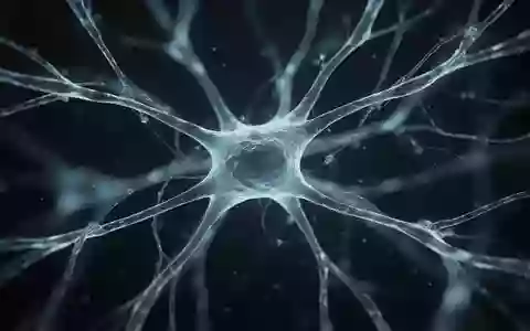 Mikroskopische Aufnahme von neuralem Gewebe in einem Labor, die zelluläre Strukturen auf wissenschaftlicher Ebene darstellt. - Foto: über boerse-global.de