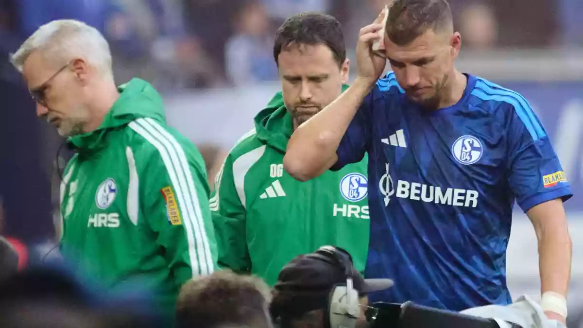 Gebrauchter Tag für Edin Dzeko und Schalke 04.  - Bild: Bernd Thissen/dpa