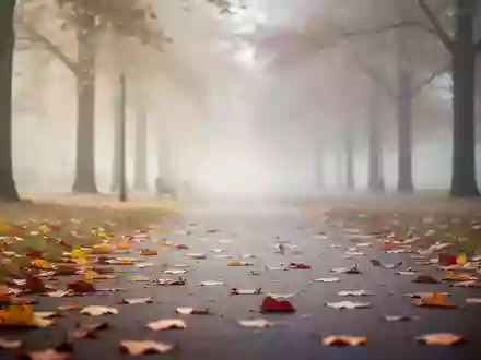 Ein nebliger Herbstpark mit buntem Laub auf dem Boden und unscharfen Bäumen im Hintergrund. - Foto: über boerse-global.de