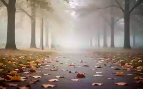 Ein nebliger Herbstpark mit buntem Laub auf dem Boden und unscharfen Bäumen im Hintergrund. - Foto: über boerse-global.de