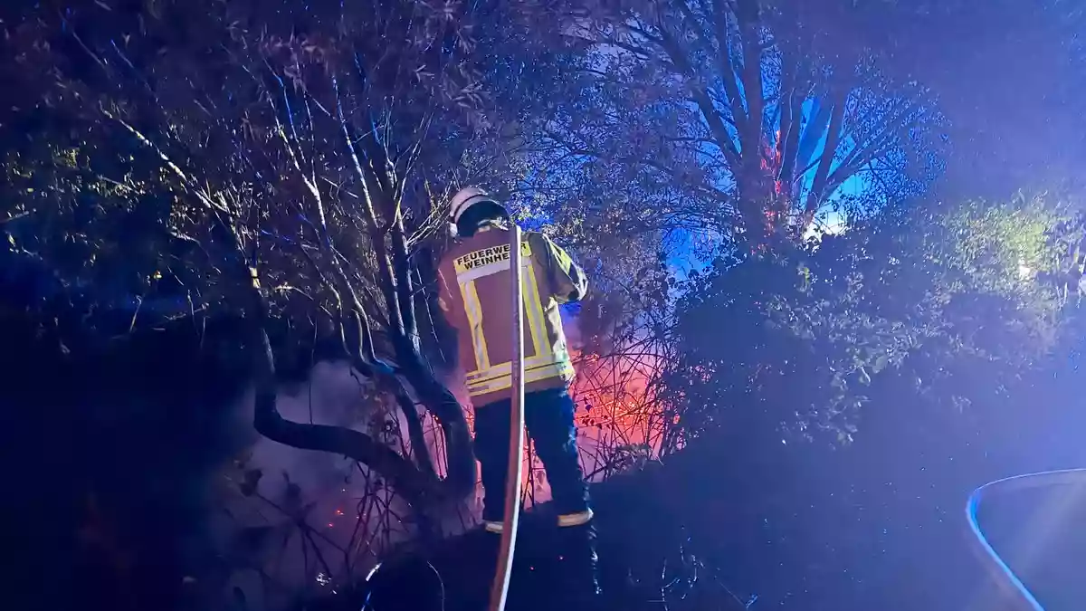 FW Weinheim: Meterhohe Flammen am Hammerweg, Alarm im Minutentakt. Einsatzreiche Nacht für Weinheims Feuerwehr - Bild: presseportal.de
