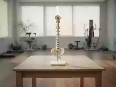 Ein minimalistischer, heller Behandlungsraum mit einem anatomischen Wirbelsäulenmodell auf einem Holztisch. - Foto: über boerse-global.de