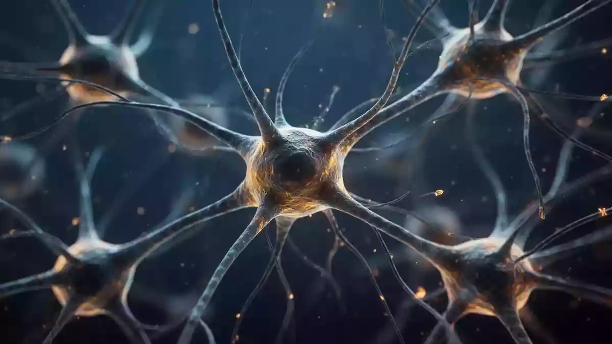 Chronische Fatigue: Studie findet gemeinsame biologische Signalwege