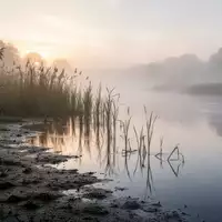 Eine neblige Flusslandschaft bei Tagesanbruch mit Schilf am Ufer. - Foto: über boerse-global.de