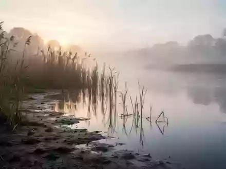 Eine neblige Flusslandschaft bei Tagesanbruch mit Schilf am Ufer. - Foto: über boerse-global.de