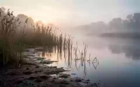 Eine neblige Flusslandschaft bei Tagesanbruch mit Schilf am Ufer. - Foto: über boerse-global.de