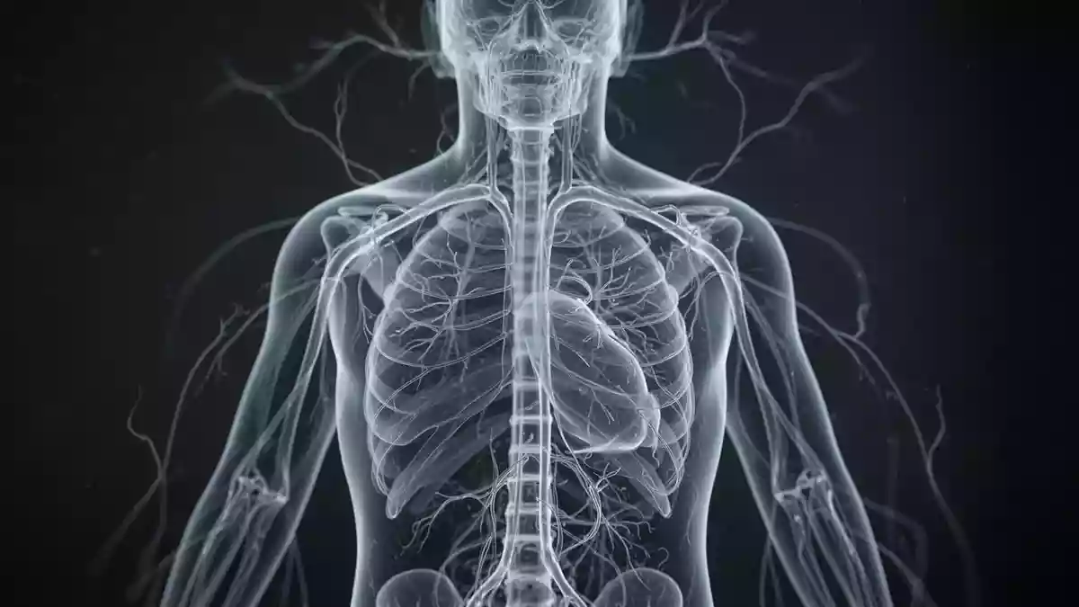 Rheumatische Gelenkerkrankungen: Studie findet Nervenschmerz bei vielen Betroffenen