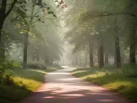 Ein sonniger, ruhiger Spazierweg in einem grünen Park, der zu Bewegung im Alltag einlädt. - Foto: über boerse-global.de
