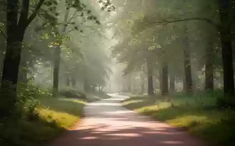 Ein sonniger, ruhiger Spazierweg in einem grünen Park, der zu Bewegung im Alltag einlädt. - Foto: über boerse-global.de